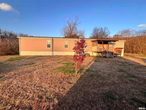 Tiny photo for 860 N Lick Creek Road, Buncombe, IL 62912 (MLS # QC4269569)