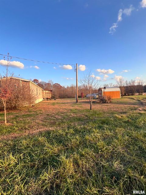 Tiny photo for 860 N Lick Creek Road, Buncombe, IL 62912 (MLS # QC4269569)