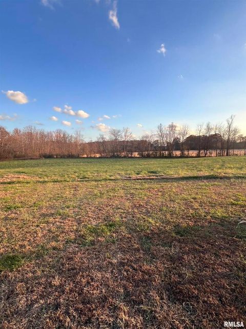 Tiny photo for 860 N Lick Creek Road, Buncombe, IL 62912 (MLS # QC4269569)
