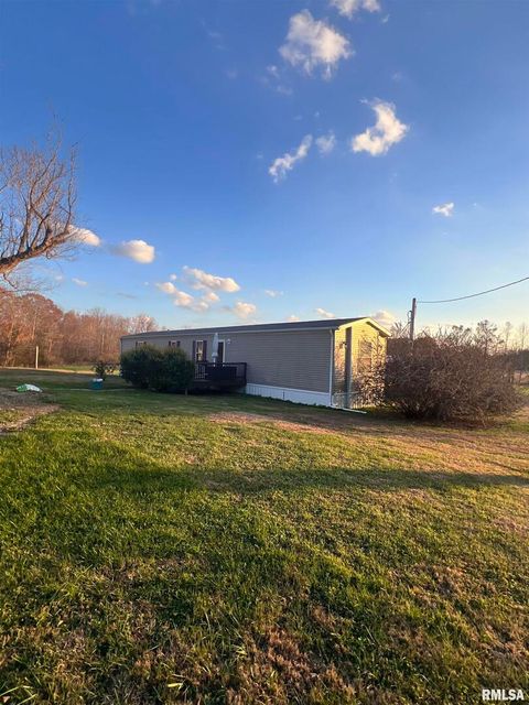 Tiny photo for 860 N Lick Creek Road, Buncombe, IL 62912 (MLS # QC4269569)