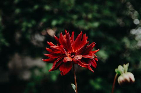 Tiny photo for 345 e market Street, Somonauk, IL 60552 (MLS # 12477383)