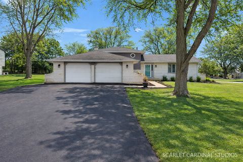 Photo of 12805 S Elaine Drive, Plainfield, IL 60585 (MLS # 12591735)