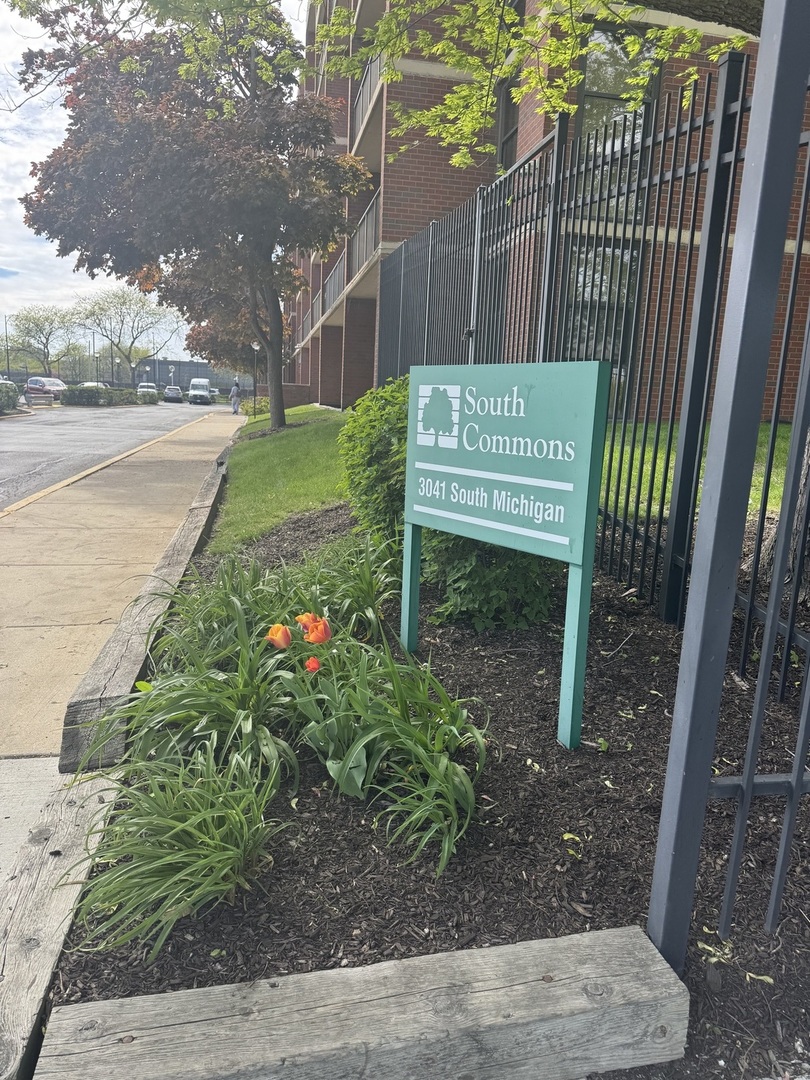 3041 S Michigan Avenue 106