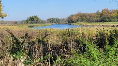 Tiny photo for 235 N Lincoln Avenue, Carpentersville, IL 60110 (MLS # 12784525)
