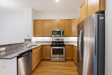 Tiny photo for 1707 W George Street, Chicago, IL 60657 (MLS # 12716517)