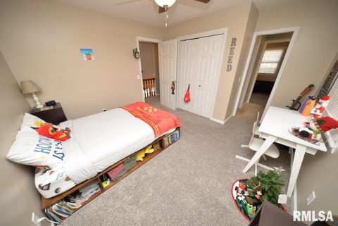 Tiny photo for 824 McCauley Lane, Mt Vernon, IL 62864 (MLS # EB460670)