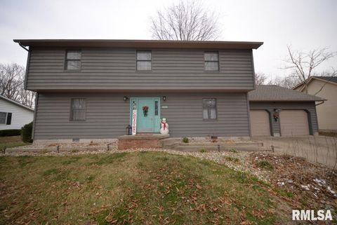 Tiny photo for 824 McCauley Lane, Mt Vernon, IL 62864 (MLS # EB460670)