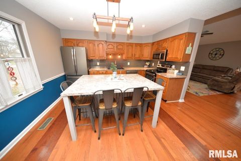 Tiny photo for 824 McCauley Lane, Mt Vernon, IL 62864 (MLS # EB460670)