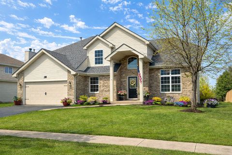 Photo of 24850 Michele Drive, Plainfield, IL 60544 (MLS # 12619675)