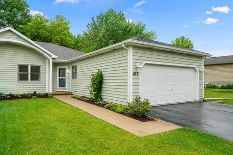 471 W Miller Avenue Hinckley IL 60520