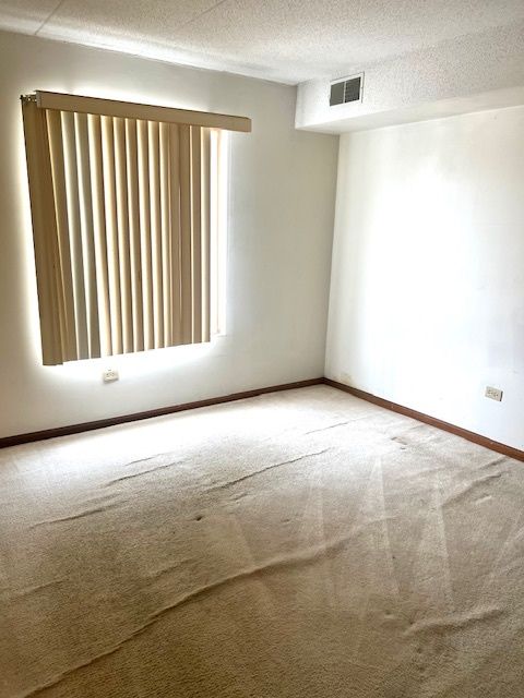 Tiny photo for 4222 W 77th Street #202, Chicago, IL 60652 (MLS # 12495455)