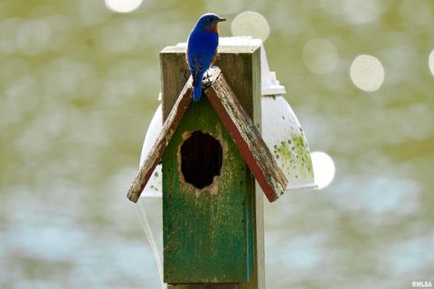 Tiny photo for 15316 Lake Point Dr Drive, Benton, IL 62812 (MLS # EB459715)