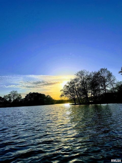 Tiny photo for 15316 Lake Point Dr Drive, Benton, IL 62812 (MLS # EB459715)