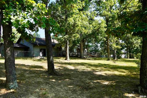 Tiny photo for 15316 Lake Point Dr Drive, Benton, IL 62812 (MLS # EB459715)