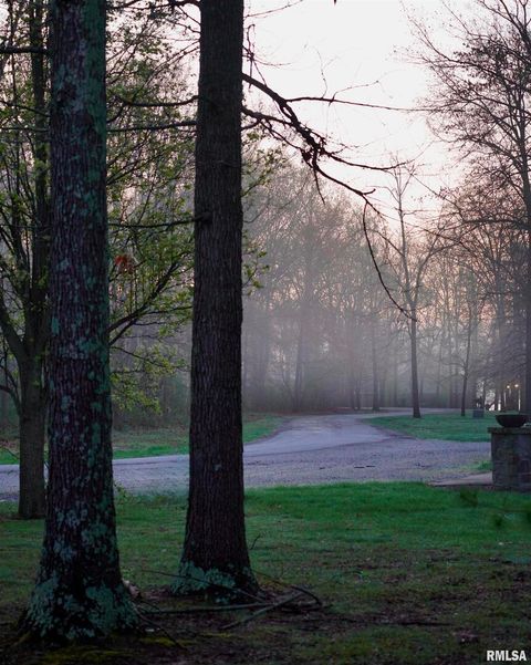 Tiny photo for 15316 Lake Point Dr Drive, Benton, IL 62812 (MLS # EB459715)