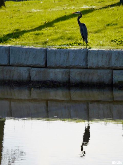 Tiny photo for 15316 Lake Point Dr Drive, Benton, IL 62812 (MLS # EB459715)