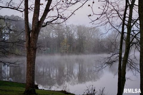 Tiny photo for 15316 Lake Point Dr Drive, Benton, IL 62812 (MLS # EB459715)