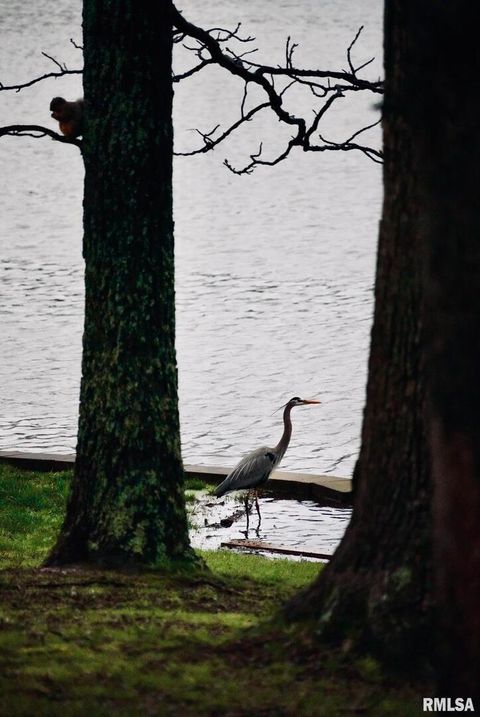 Tiny photo for 15316 Lake Point Dr Drive, Benton, IL 62812 (MLS # EB459715)