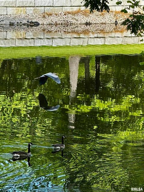 Tiny photo for 15316 Lake Point Dr Drive, Benton, IL 62812 (MLS # EB459715)