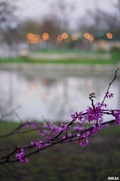 Tiny photo for 15316 Lake Point Dr Drive, Benton, IL 62812 (MLS # EB459715)