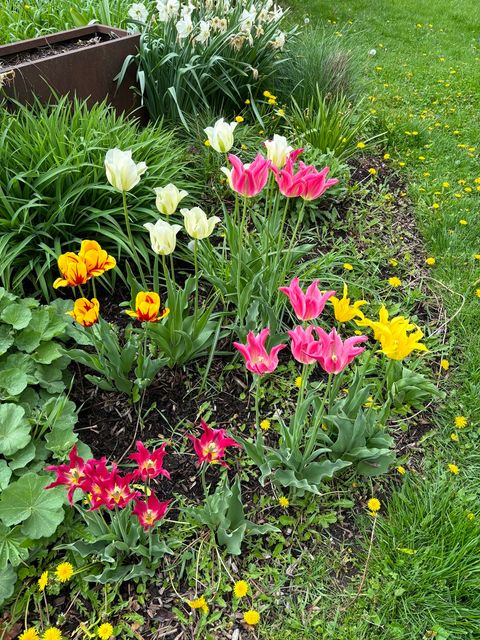 Tiny photo for 8136 Kenton Avenue, Skokie, IL 60076 (MLS # 12618842)