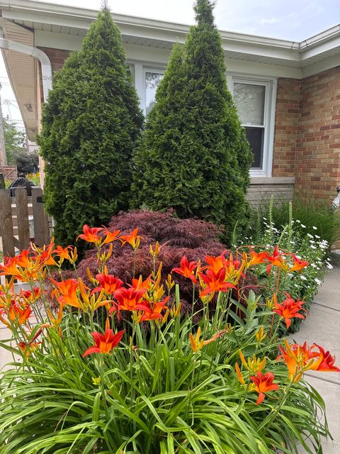 Tiny photo for 8136 Kenton Avenue, Skokie, IL 60076 (MLS # 12618842)