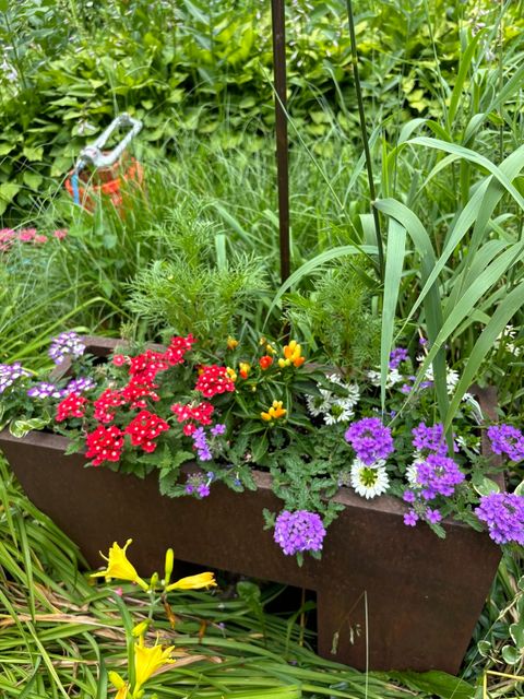 Tiny photo for 8136 Kenton Avenue, Skokie, IL 60076 (MLS # 12618842)