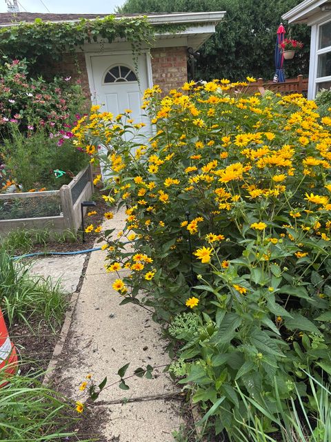 Tiny photo for 8136 Kenton Avenue, Skokie, IL 60076 (MLS # 12618842)