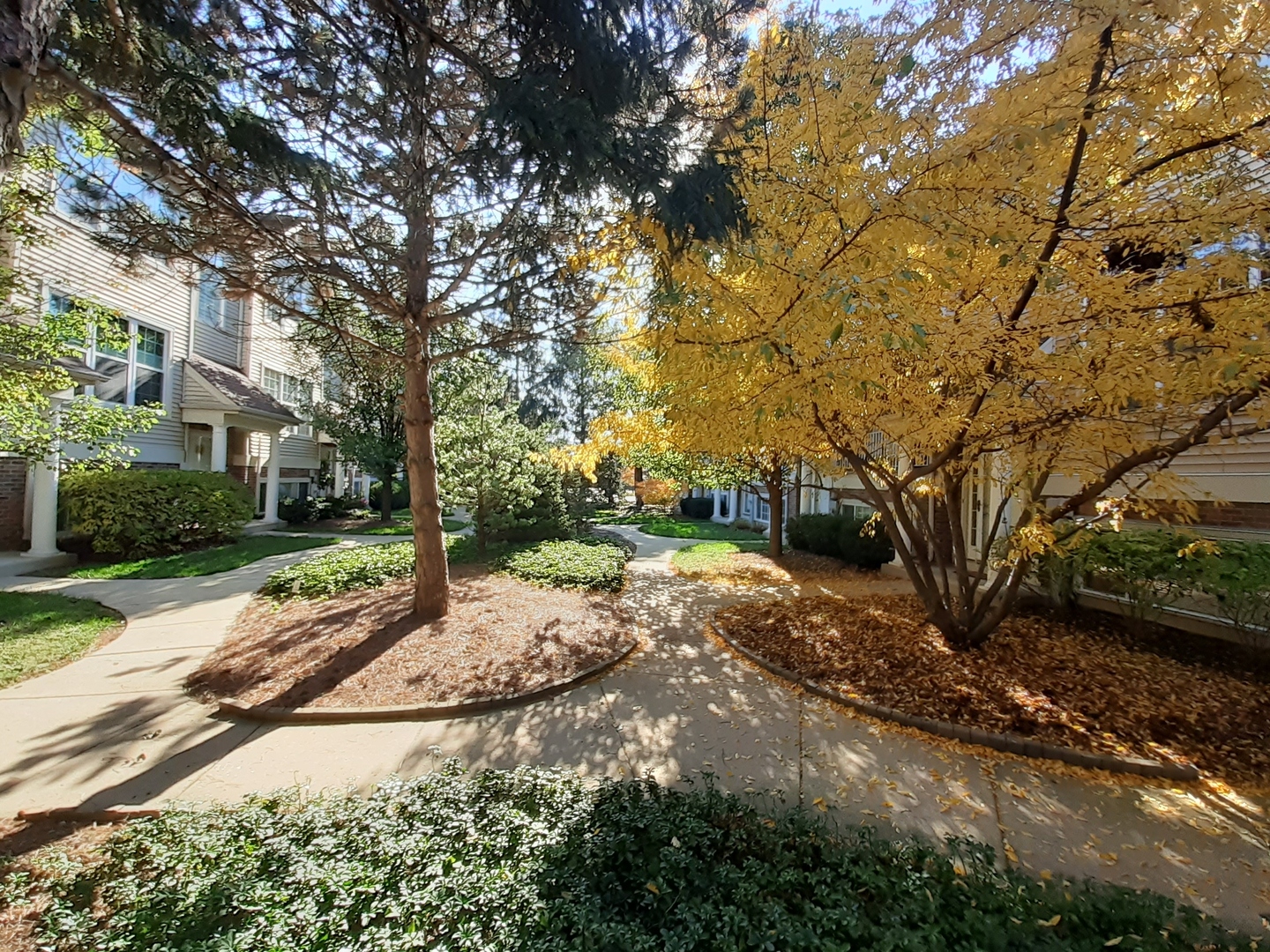 11 E Illinois Avenue