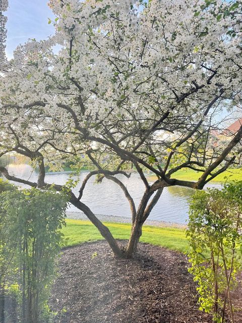 Tiny photo for 1106 E Wilson Avenue, Lombard, IL 60148 (MLS # 12606605)