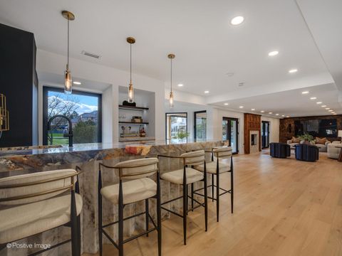 Tiny photo for 9280 Cascade Circle, Burr Ridge, IL 60527 (MLS # 12614001)