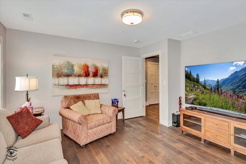 Tiny photo for 51 Kaffel Court, Frankfort, IL 60423 (MLS # 12539257)