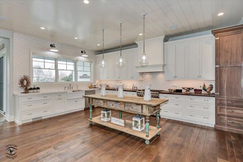 Tiny photo for 51 Kaffel Court, Frankfort, IL 60423 (MLS # 12539257)