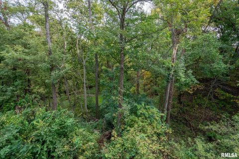 Tiny photo for 4622 30TH Avenue Court, Rock Island, IL 61201 (MLS # 12554511)