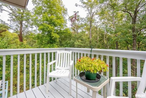 Tiny photo for 4622 30TH Avenue Court, Rock Island, IL 61201 (MLS # 12554511)