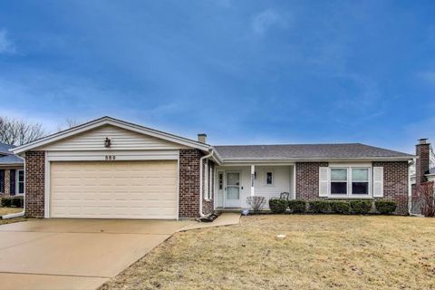 889 Thornton Lane Buffalo Grove IL 60089