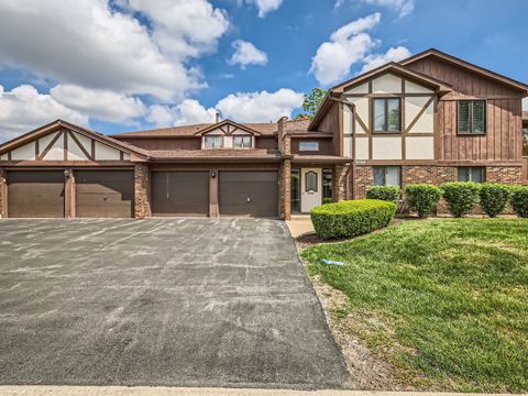 9748 Mill Drive E 2E Palos Park IL 60464