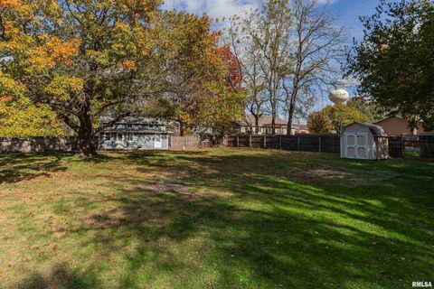 Tiny photo for 711 E 19TH Avenue, CoalValley, IL 61401 (MLS # QC4268996)