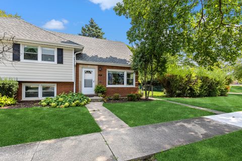 4247 Harvey Avenue Western Springs IL 60558