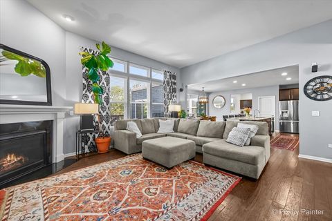 Tiny photo for 154 Chapin Way, Oswego, IL 60543 (MLS # 12478307)