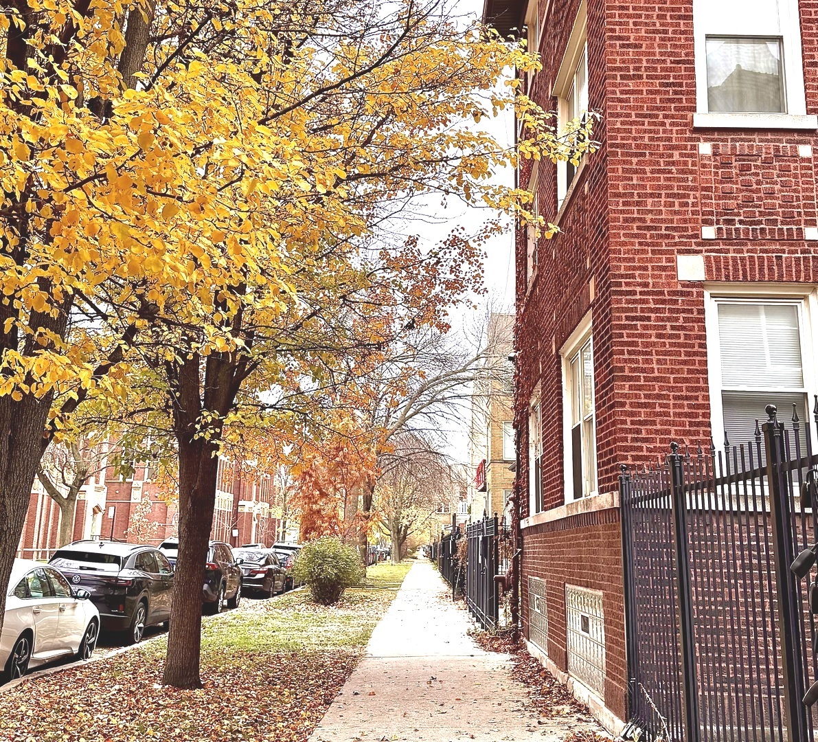 4652 N Saint Louis Avenue 3E