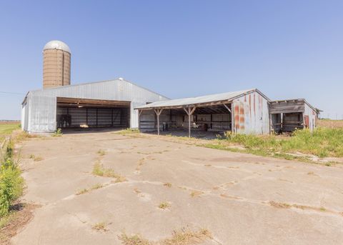Tiny photo for 29058 E 2700 Street, Prophetstown, IL 61277 (MLS # 12663443)
