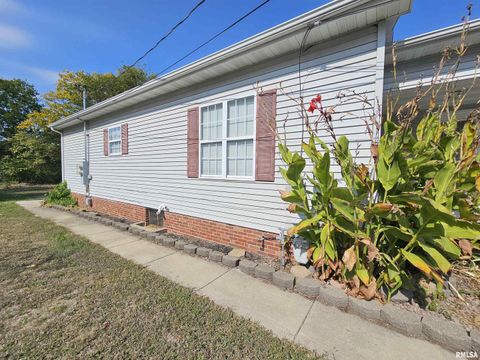 Tiny photo for 219 S 19TH Street, Mt Vernon, IL 62864 (MLS # EB460189)