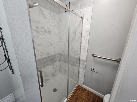 Tiny photo for 219 S 19TH Street, Mt Vernon, IL 62864 (MLS # EB460189)