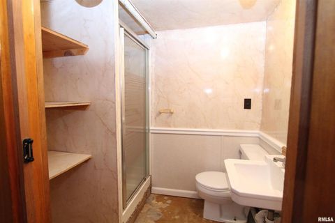 Tiny photo for 915 N 12TH Street, Clinton, IA 52732 (MLS # QC4266503)