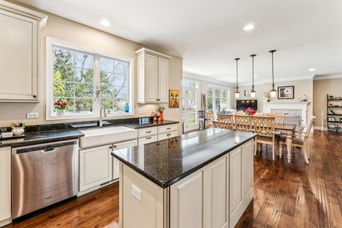 Tiny photo for 30 Denali Court, South Barrington, IL 60010 (MLS # 12625754)