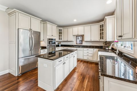 Tiny photo for 30 Denali Court, South Barrington, IL 60010 (MLS # 12625754)
