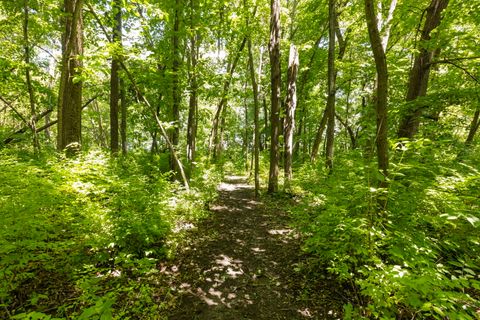 Tiny photo for 7479 Grove Road, Oswego, IL 60543 (MLS # 12682754)