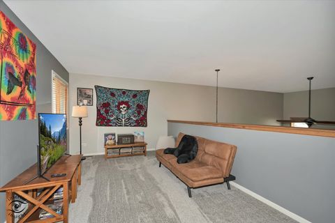 Tiny photo for 8233 Pecan Place, Frankfort, IL 60423 (MLS # 12674711)
