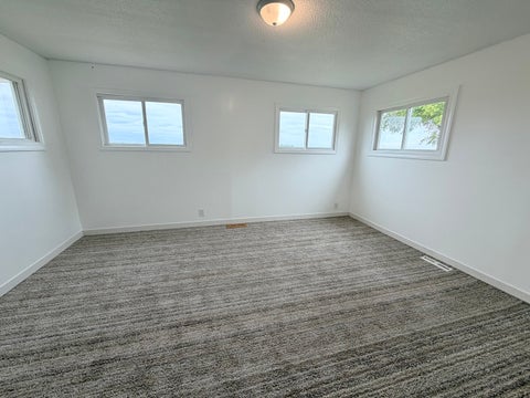 Tiny photo for 314 N Constant Street, Dawson, IL 62520 (MLS # 12767818)